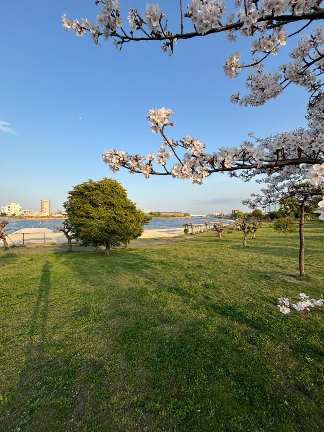 Vacation Inn Heiwajima I 東京都 外观 照片