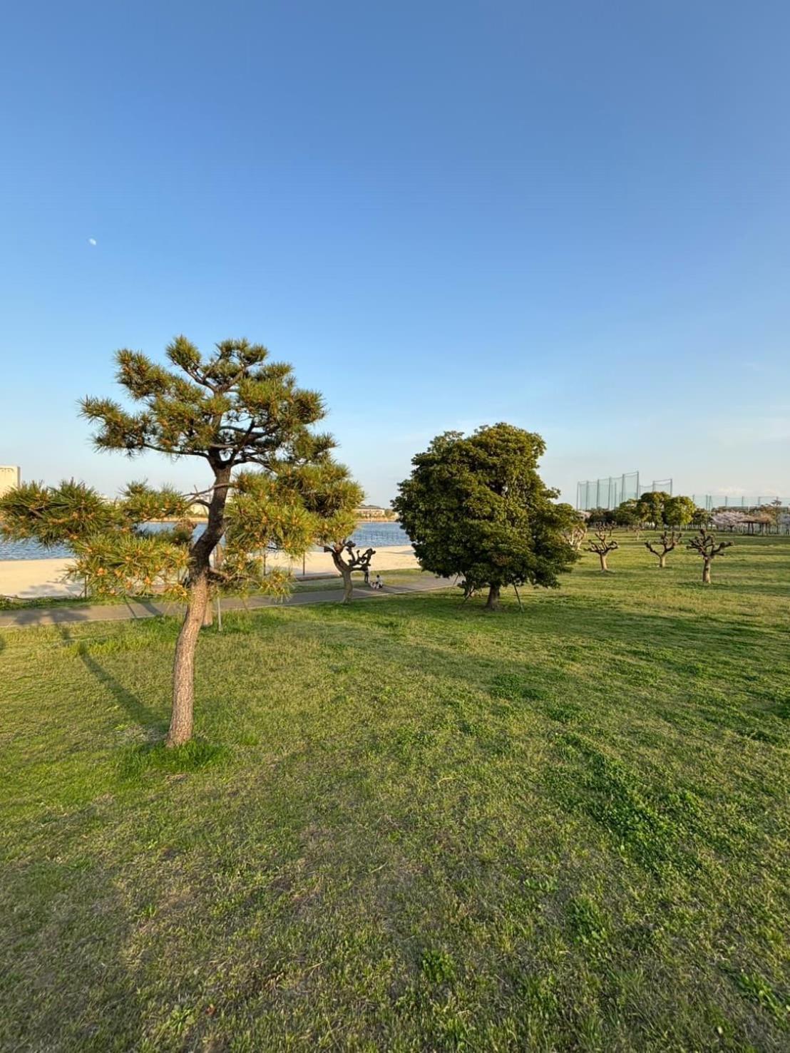 Vacation Inn Heiwajima I 東京都 外观 照片
